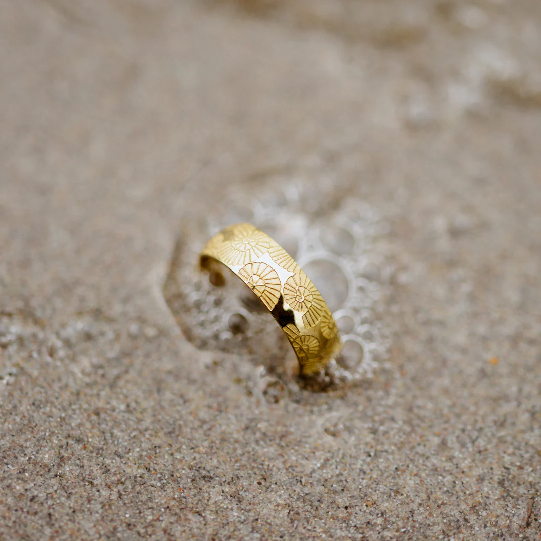 Ammonite Shell Ring Silver - Image 5