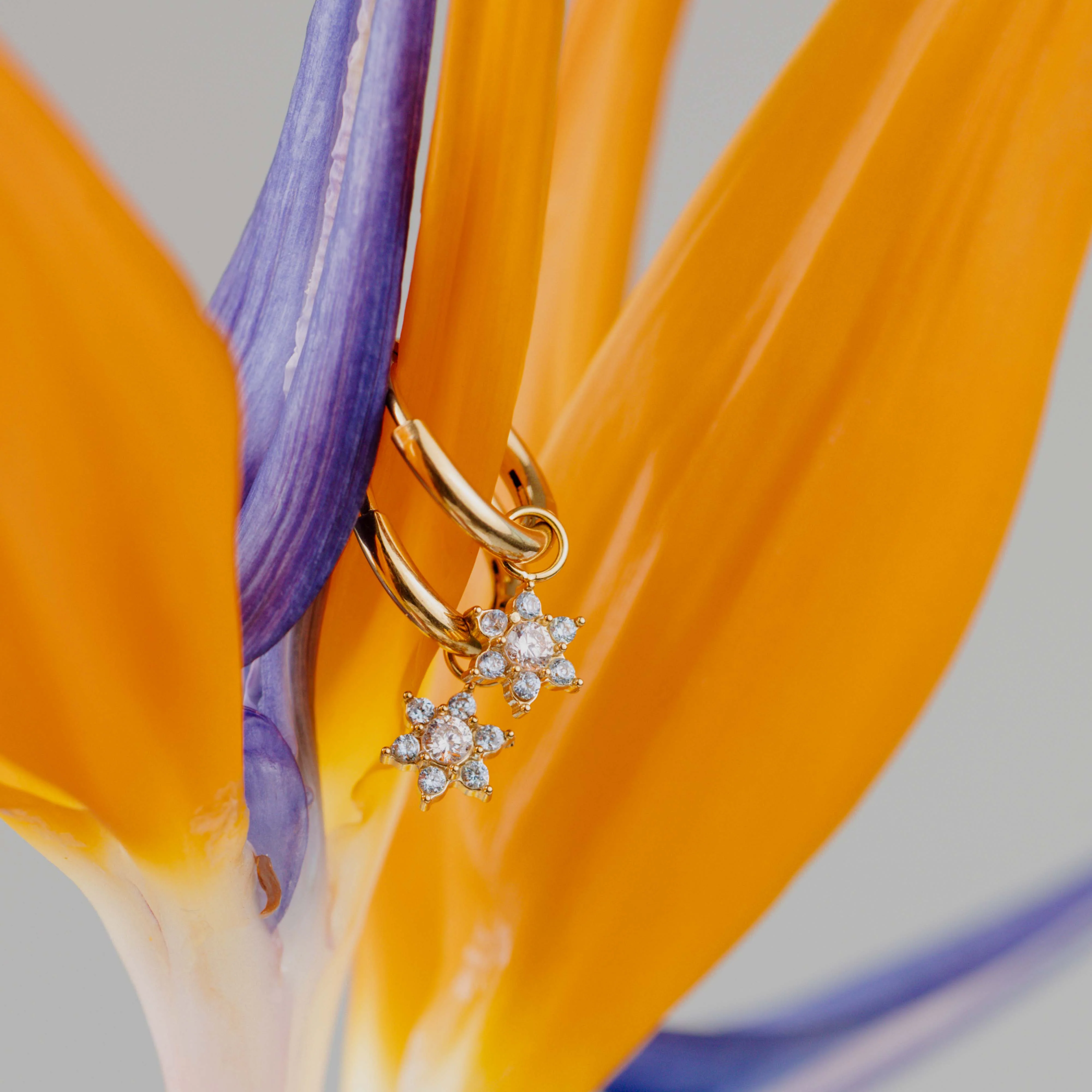 Blue Petal Hoop Set Small Silver - Image 4