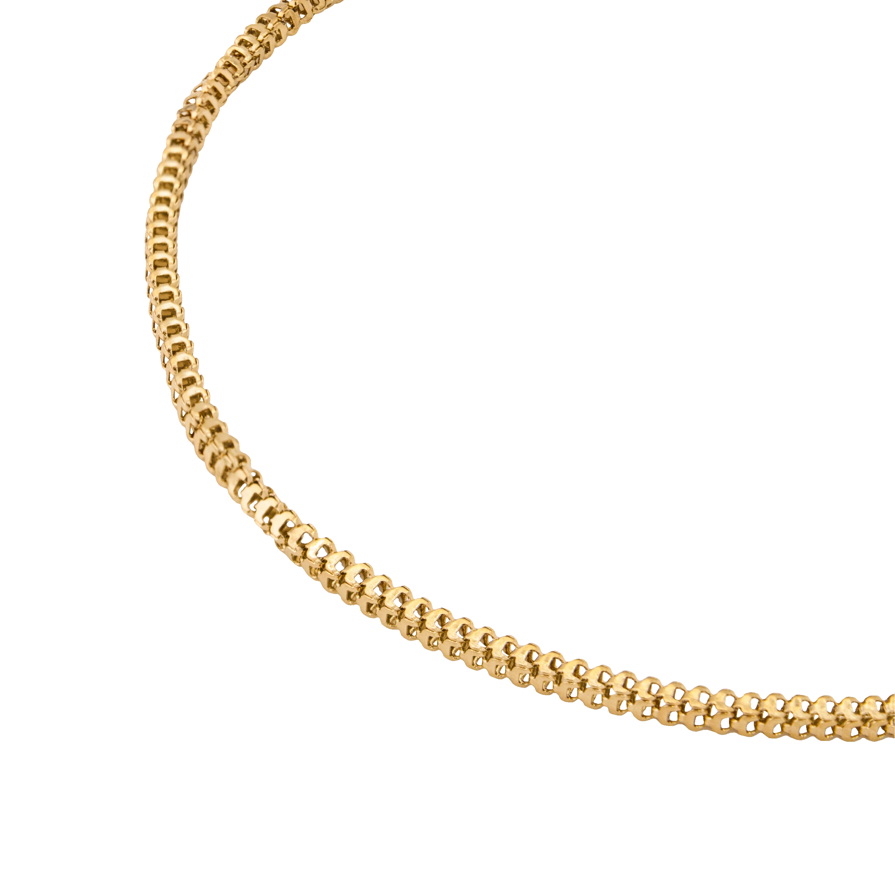 Box Snake Anklet Gold - Image 4