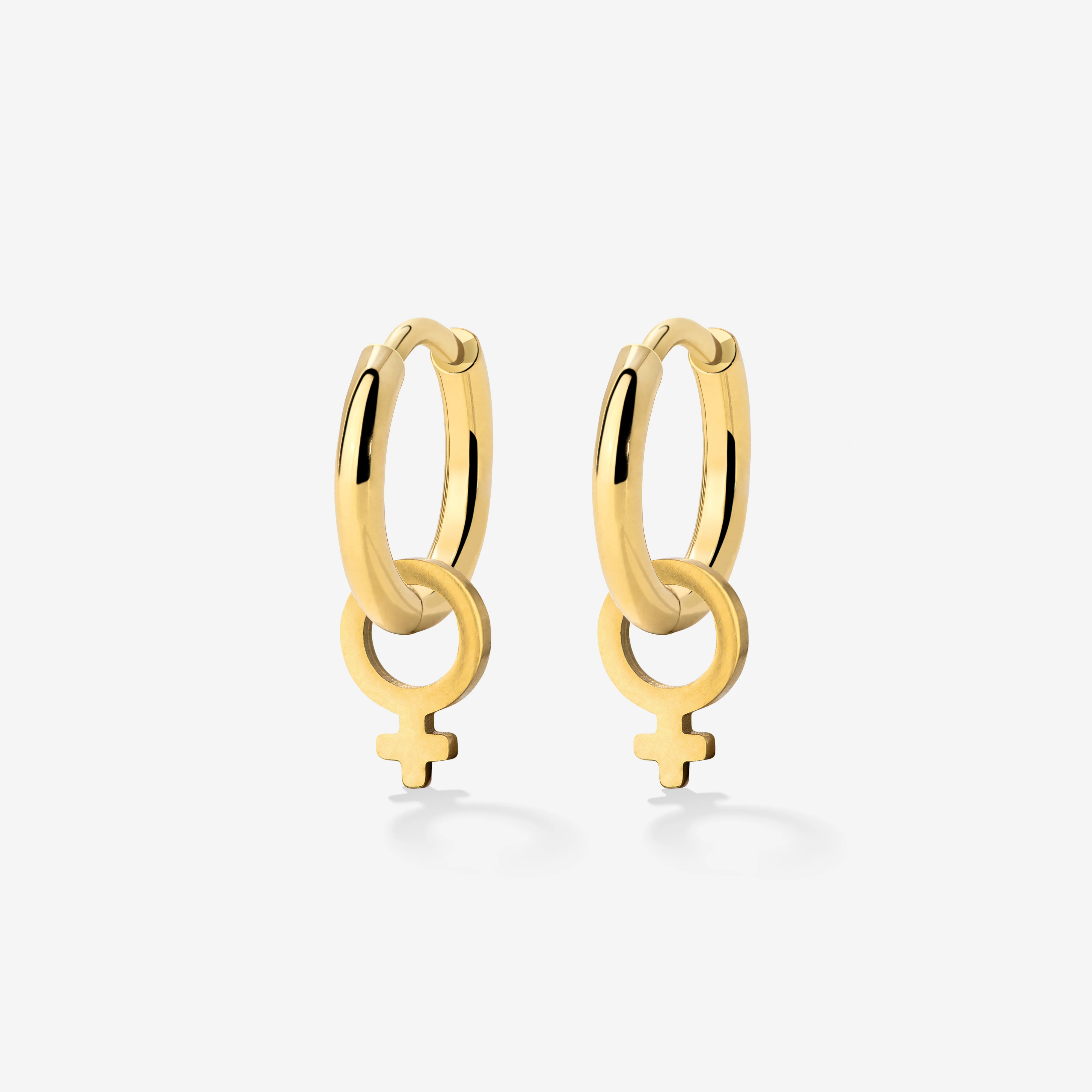 Female Icon Hoop Set Small Gold
