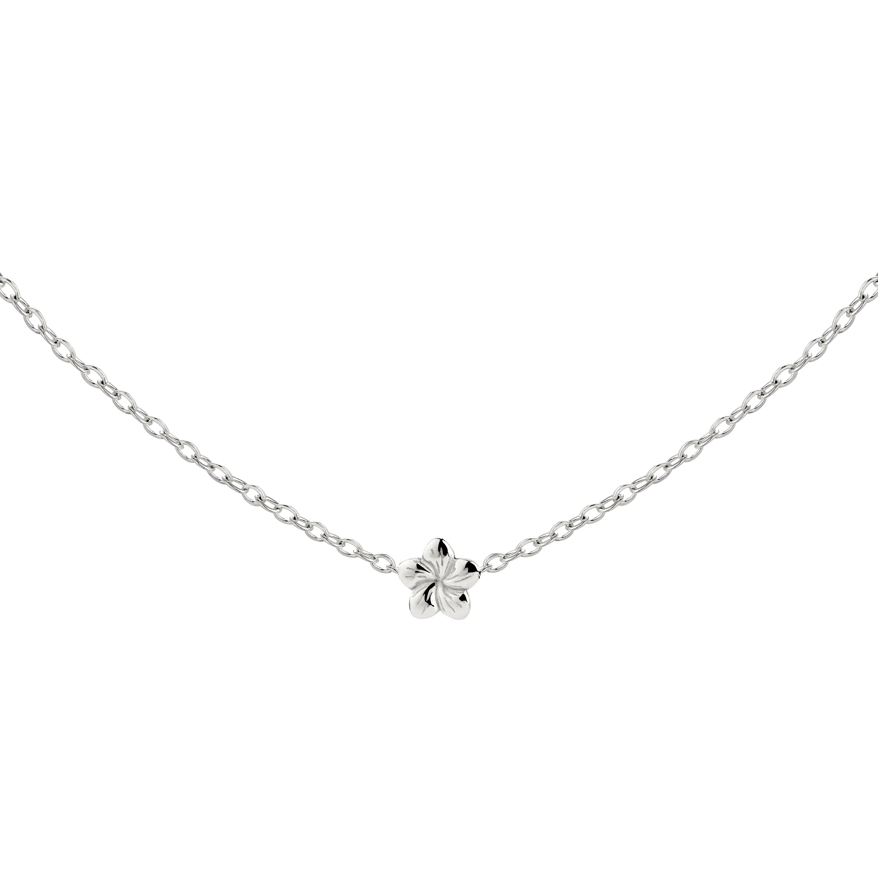 Floral Glow Choker Silver