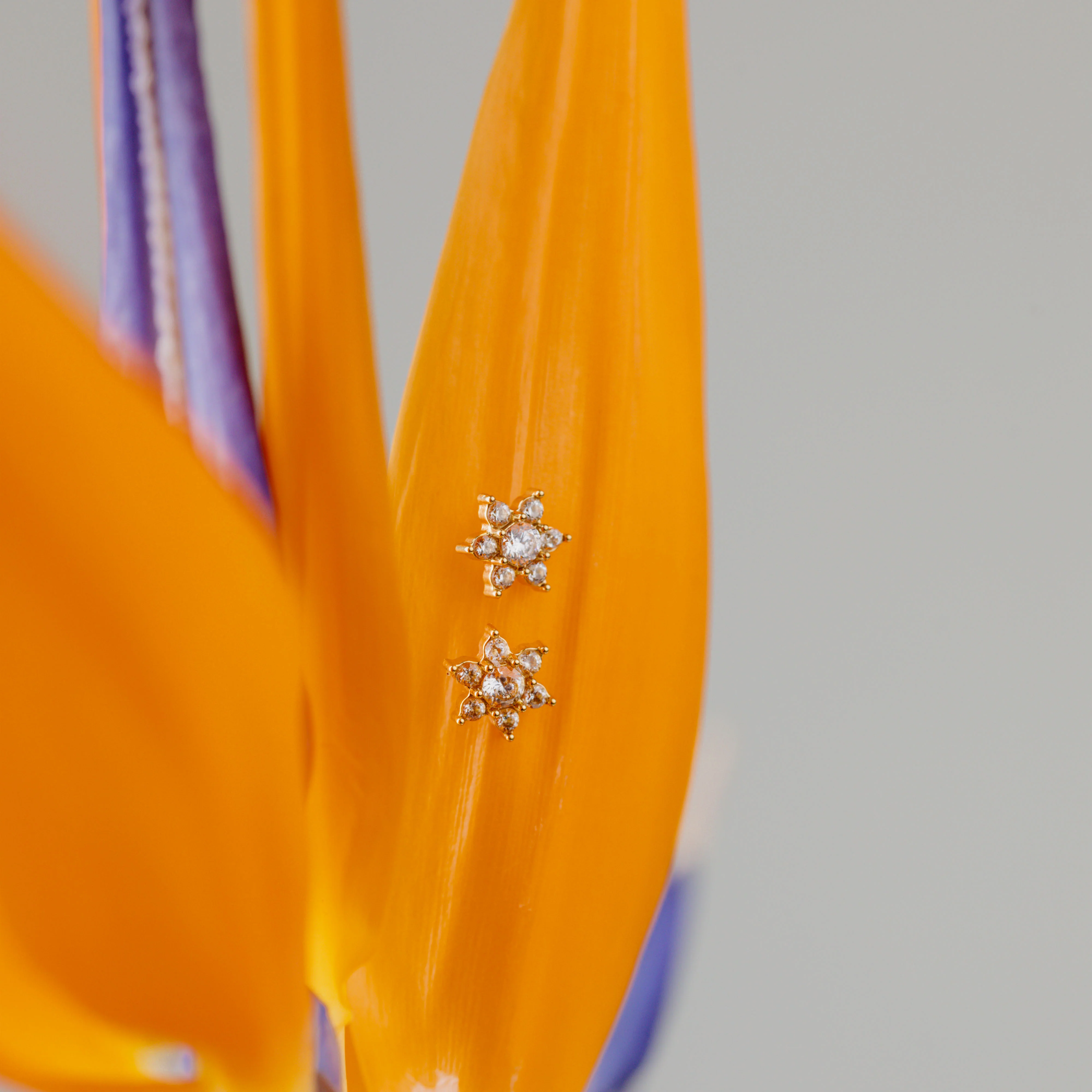 Flower Garden Bundle Rose Gold - Image 6