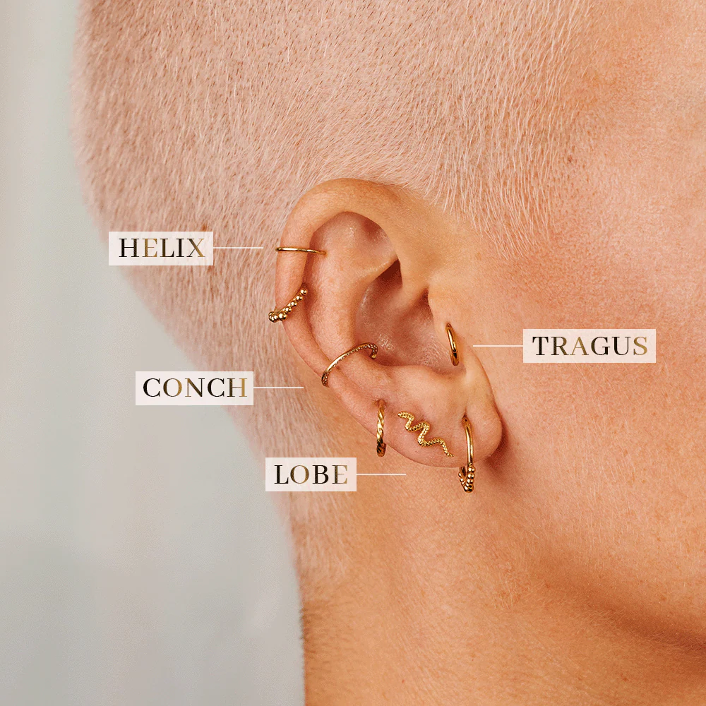 Snake Piercing Gold - Image 4