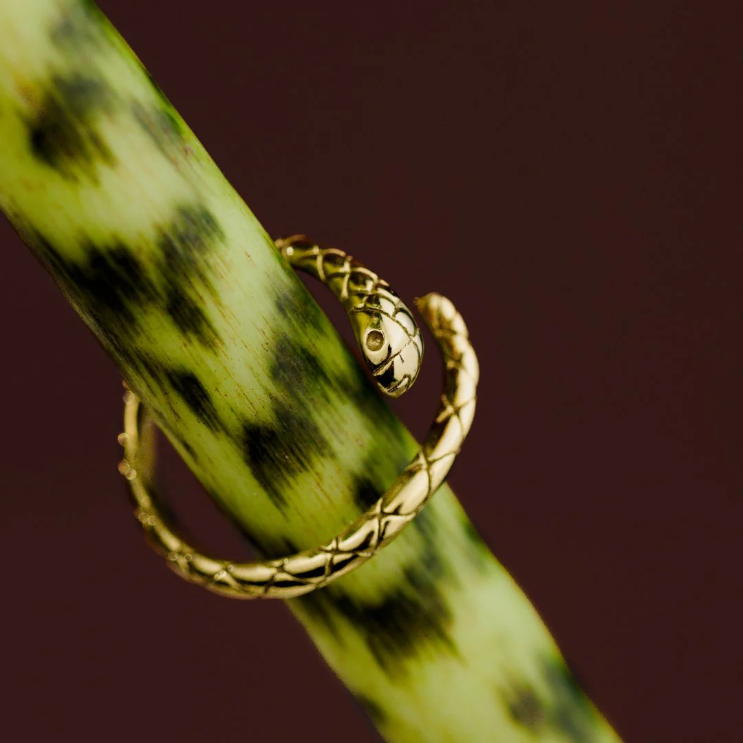 Vipers Ring Stud Earrings Gold - Image 4