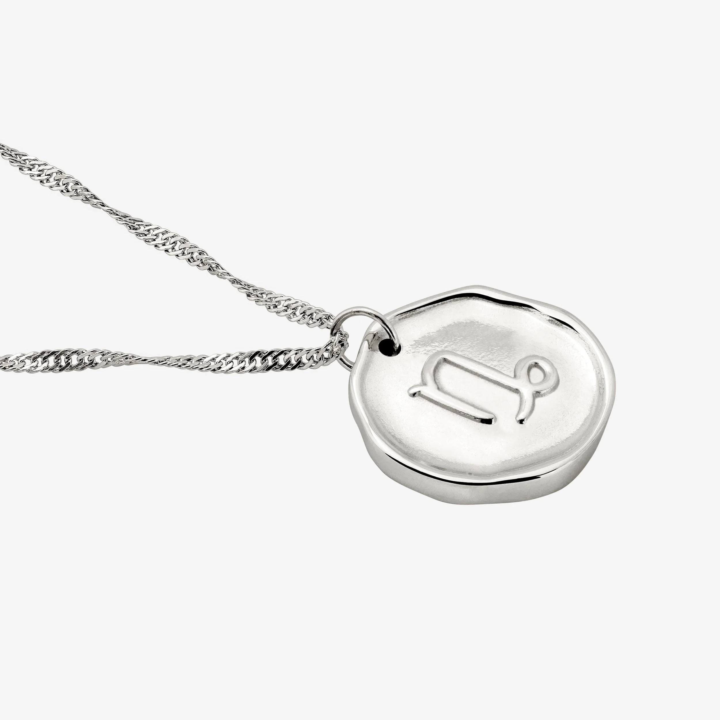 Zodiac Necklace – Capricorn Silver - Image 4
