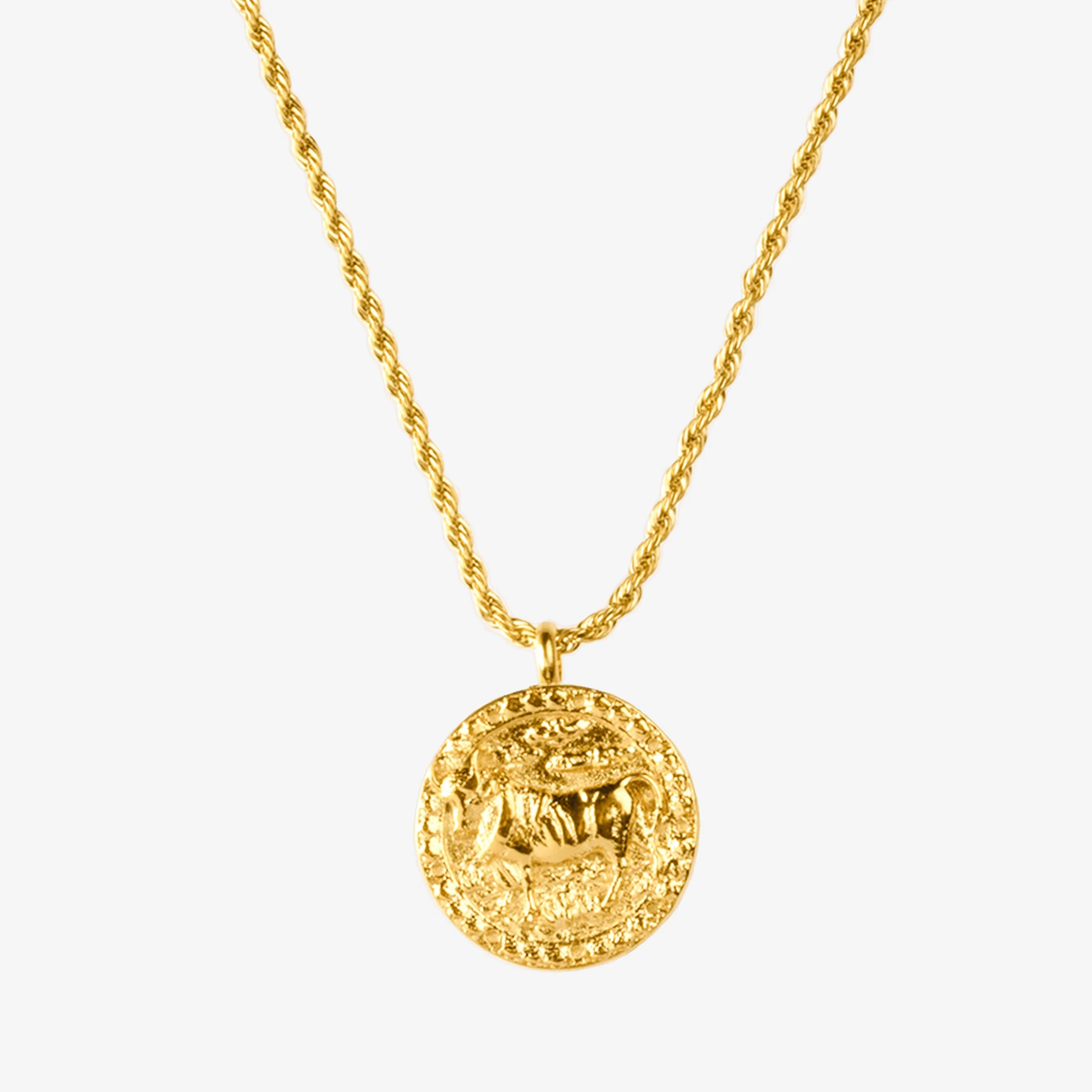 Zodiac Sign Necklace Gold - Image 12