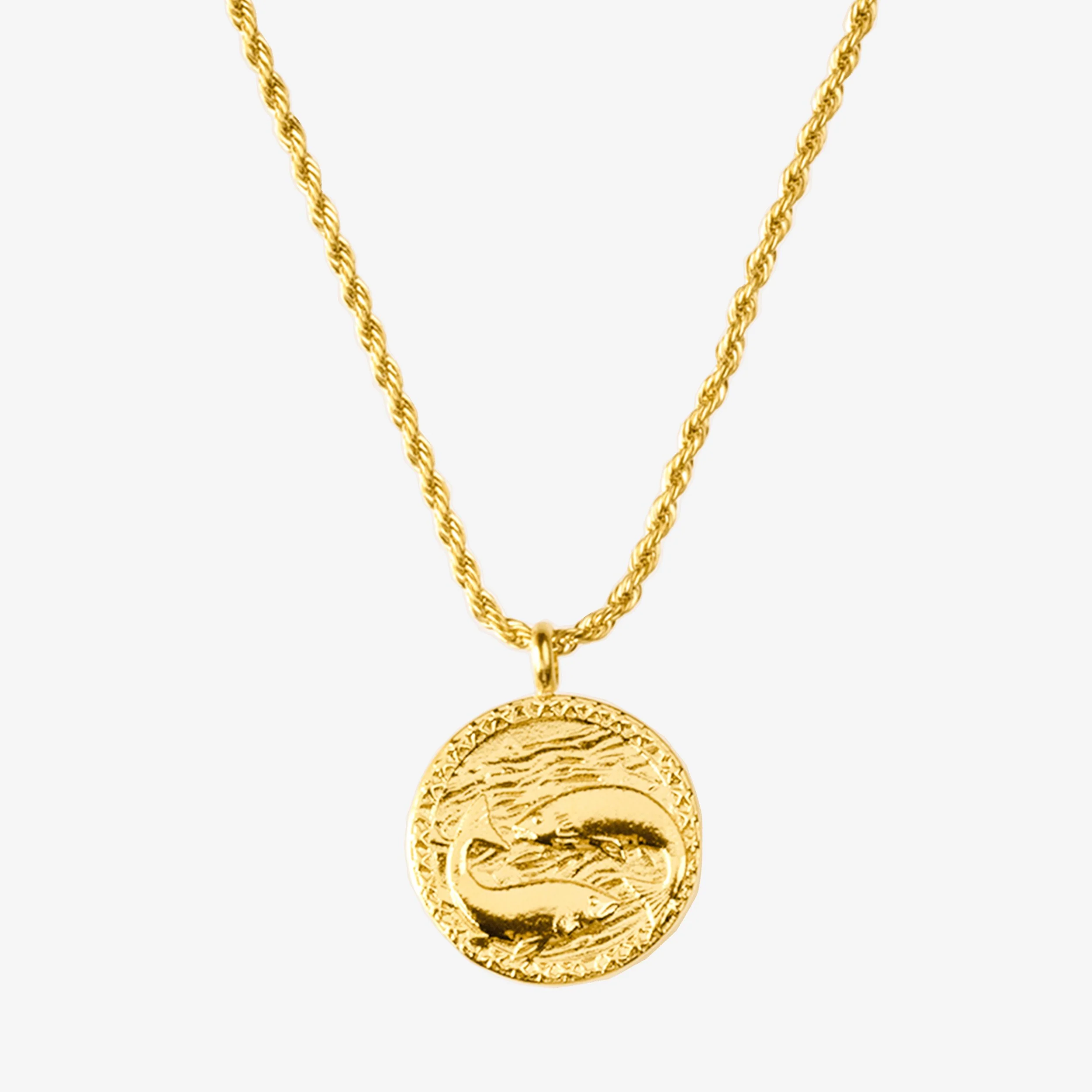Zodiac Sign Necklace Gold - Image 6